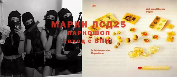 прущие грибы Алексеевка