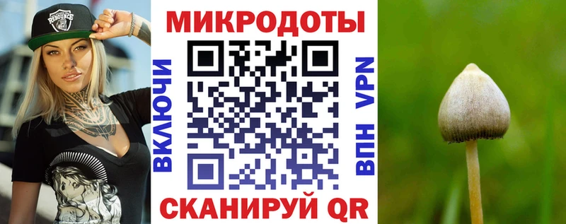 закладка  Алексин  Псилоцибиновые грибы Magic Shrooms 