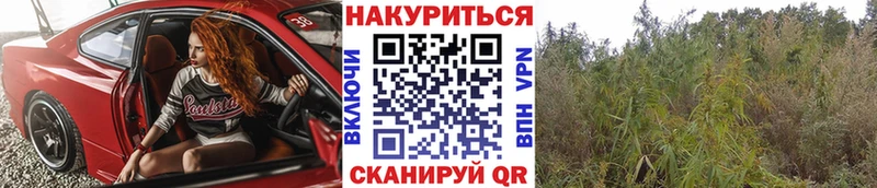 Марихуана марихуана Алексин