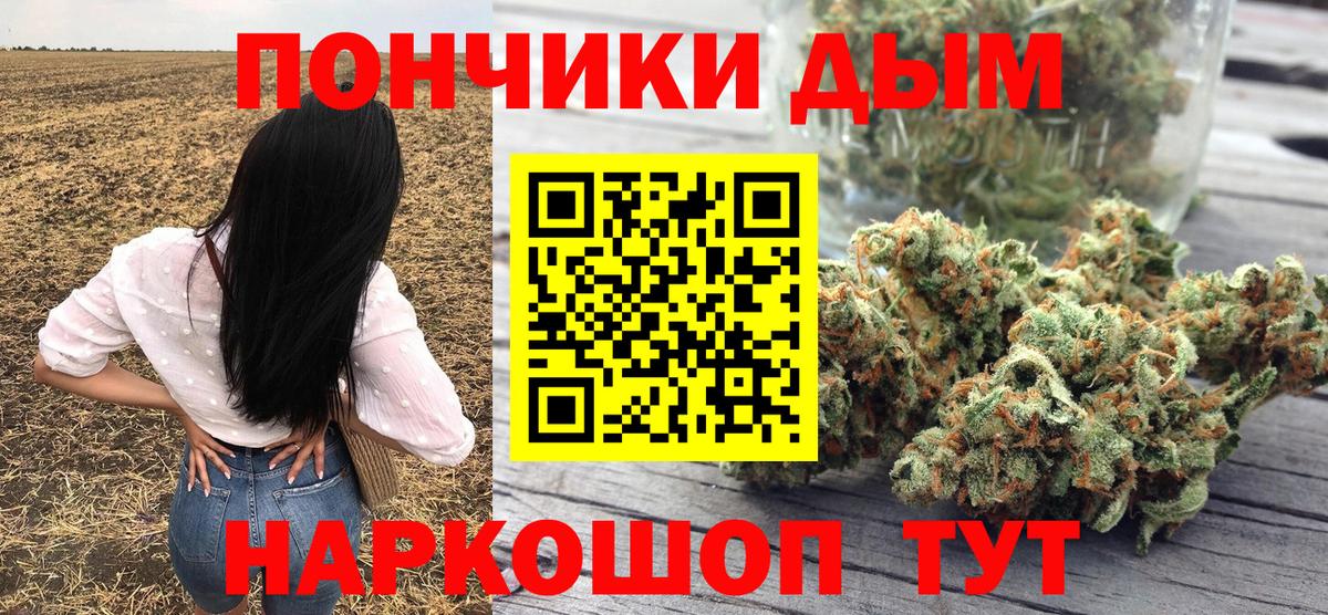 Бошки Шишки гибрид Алексин